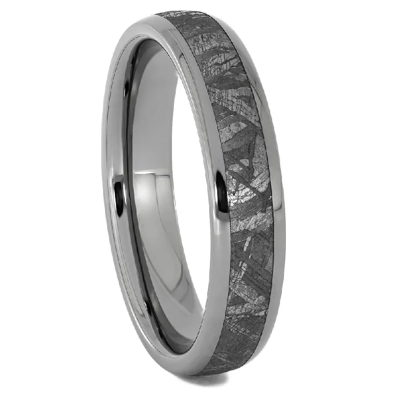 Gibeon Meteorite & Titanium Wedding Band