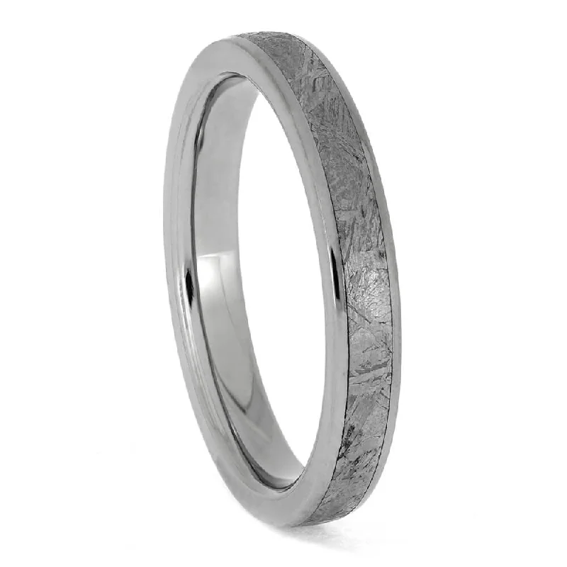 Thin Meteorite Wedding Band with Titanium Edges